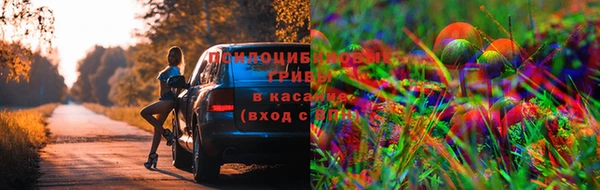 соль курить ск Бородино