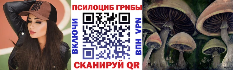 блэк спрут ONION  Новосибирск  Псилоцибиновые грибы GOLDEN TEACHER 